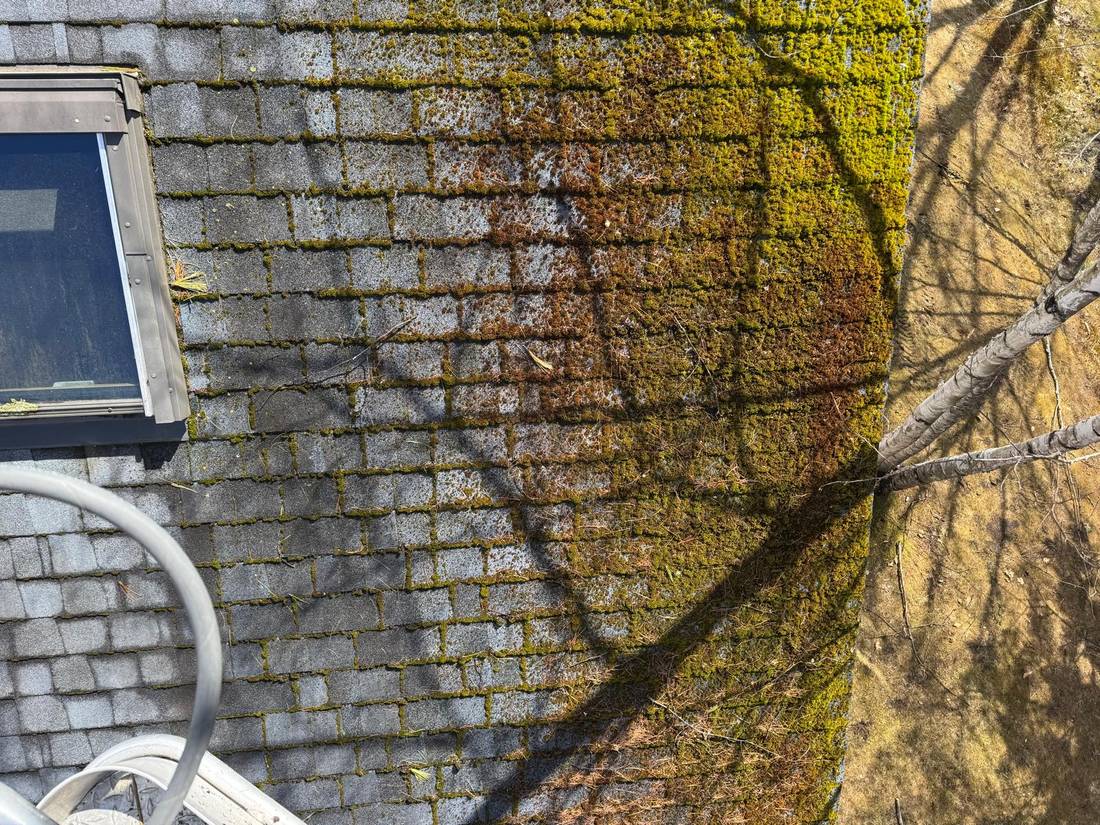Roof covered in moss before cleaning
