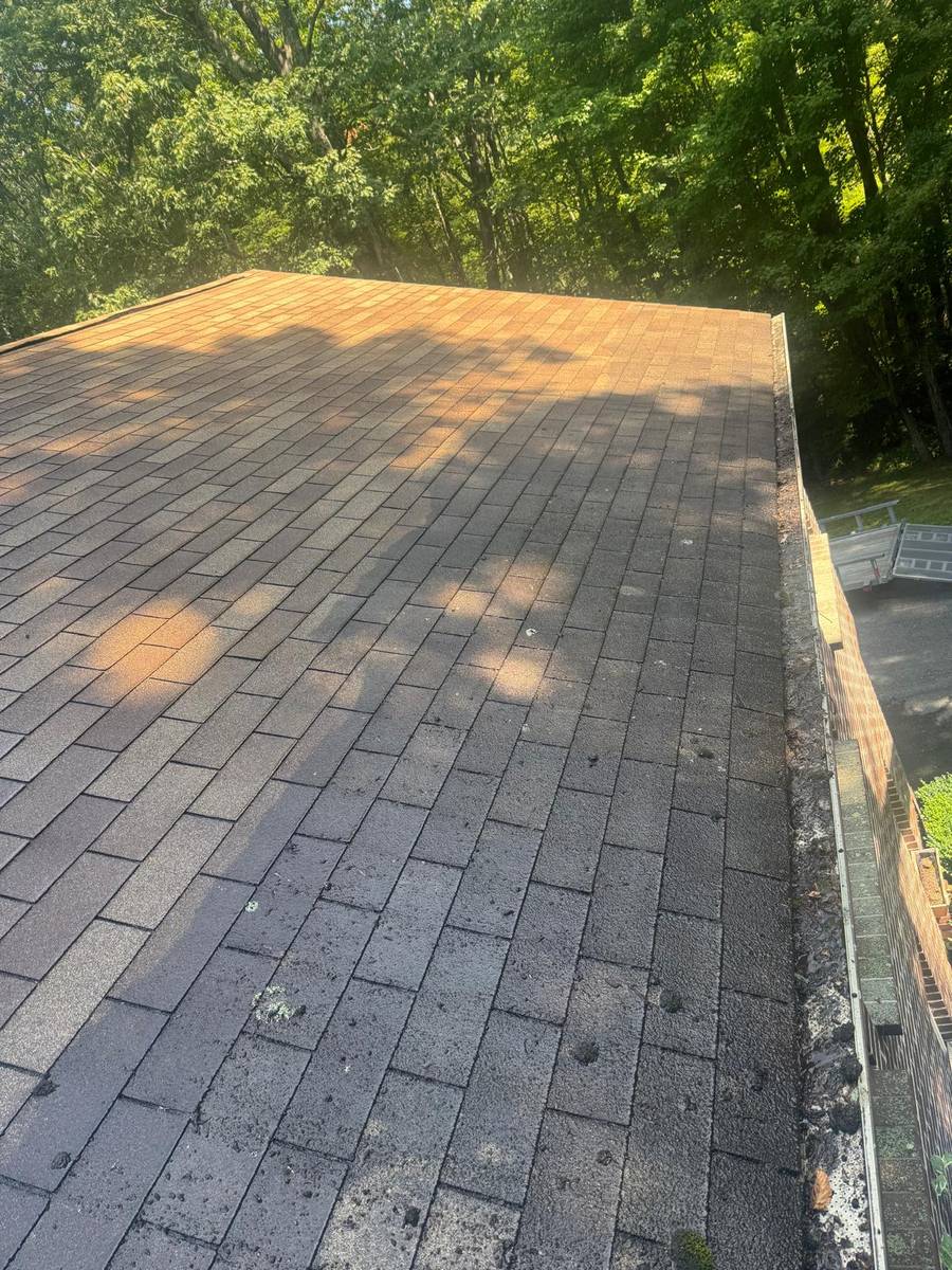 Weathered shingles with lichen before cleaning