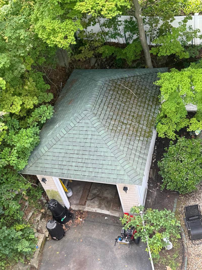 Garage roof covered in moss before cleaning